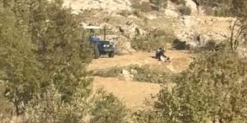 Li Gabarê bi destûra Gerînendehiya Daristanê talan heye!