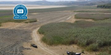 Ji sedî 40ê avzêman ziwa bûn