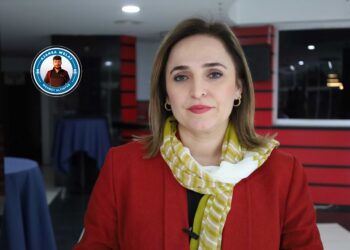 Ayşegul Dogan: Têkoşîna ji bo aştî û demokrasiyê hevpariyê dixwaze