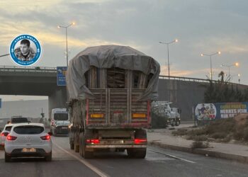 Di ‘Roja Çandina Daran’ de dar birîn!