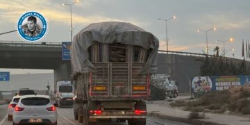 Di ‘Roja Çandina Daran’ de dar birîn!