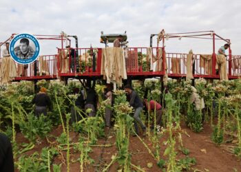 Keda karkerên Kurd jî erzan e!