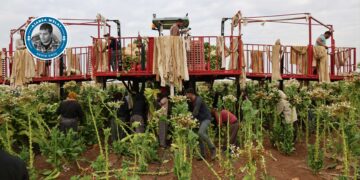 Keda karkerên Kurd jî erzan e!