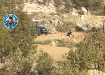 Li Gabarê bi destûra Gerînendetiya Daristanê talan heye!