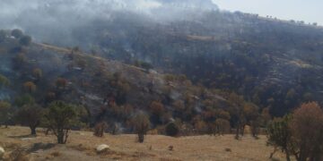 TSK bi materyalanê leşkerî xoza talan keno