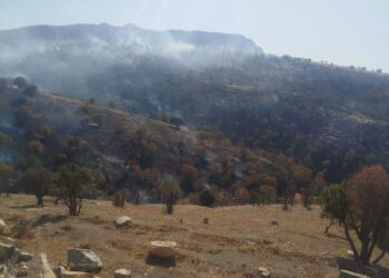 TSK bi îmhakirina amûrên leşkerî xwezayê talan dike