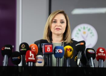 Ayşegul Dogan: Heta komîsyon bi Abdullah Ocalan re hevdîtin neke xebat pêşve naçin