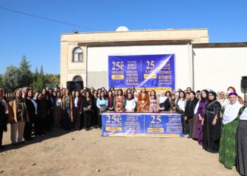 Rapora şeredariyên DEM Partiye hat aşkerakirin