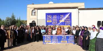 Rapora şeredariyên DEM Partiye hat aşkerakirin