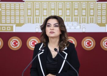 Gulistan Kiliç Koçyîgît: Gelê Kurd her tiştî tomar dike