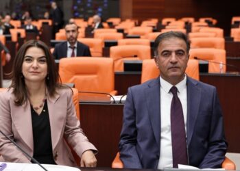 Gulistan Kiliç Koçyîgît: Birêz Ocalan bi zelalî got ku divê kurd û tirk di aştiyê de bijîn