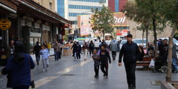 Şêniyên Amedê: Birêz Abdullah Ocalan neyê berdan pêvajo nameşe