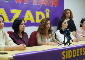 Meclîsa Jinan a KESKê ya Amedê bernameya 25ê Mijdarê eşkere kir