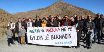 Li dijî talana Dorşînê dar û berû çandin