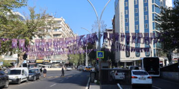 Amed bi alên 25ê Mijdarê hat xemilandin