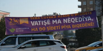 Amed bi alên 25ê Mijdarê hat xemilandin