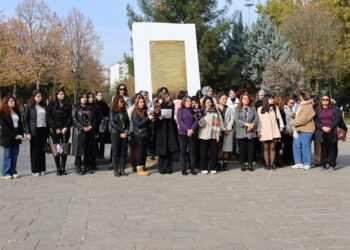 Tora Têkoşîna Li Dijî Tundiyê rapora salekê eşkere kir