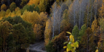 Dêrsim de bejna weşikî û heşmekêşîya payîzî