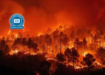 Kezeba 268 milyon mirovî şewitî