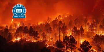 Kezeba 268 milyon mirovî şewitî