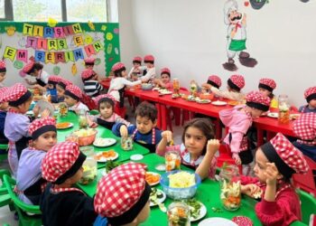 Zarokistanan de tutan tirşî viraşt