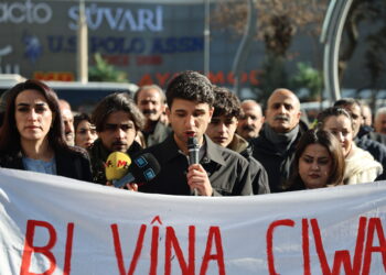 Kesên nediyar endamê Meclîsa Ciwanan a DEM Partiyê revandin