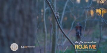 Ji bo Abdullah Ocalan stranekî nû hat çêkirin