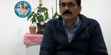 Sefkan Kobanê: Tirkiyeyê DAIŞ mezin kir