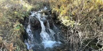 Şampaşa de bi baxaneyê viraştişê fabrîka wazenê kananê zerrnî akerê!