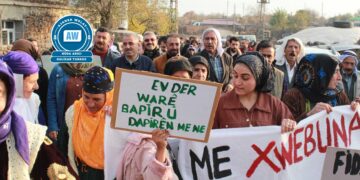 Şêniyên gundê Husika: Em canê xwe didin dareka xwe nadin