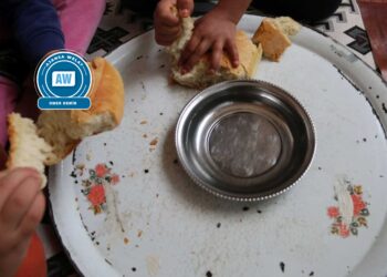 Bi milyonan kes nanoziko dijîn