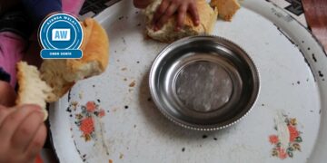 Bi milyonan kes nanoziko dijîn