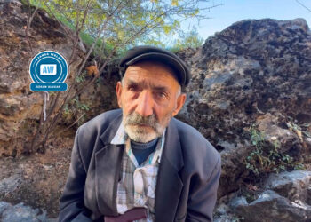 ‘Hende dez û heşîrîye dîme ancîna aştî wazenîme’