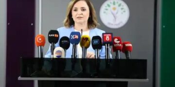 Ayşegul Dogan: Pêvajo tevî her tiştî pêşve diçe
