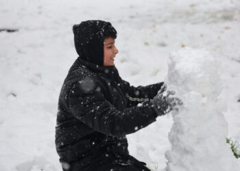 Li Amedê dê sibe dibistan di betlaneyê de bin