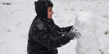 Li Amedê dê sibe dibistan di betlaneyê de bin