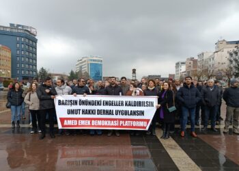 Platforma Ked û Demokrasiyê: Mafê Hêviyê dê aştiya civakî pêş bixe