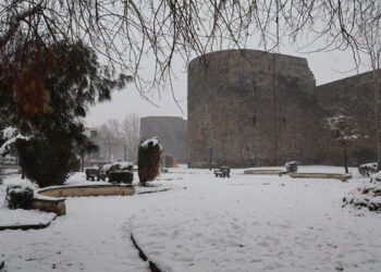 Li Amedê berfê her der spî kir