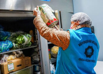 Verê Serneweyî Pêroyê Şaristanî de Kontrolê Şewe Ameyî Zêdekerdene