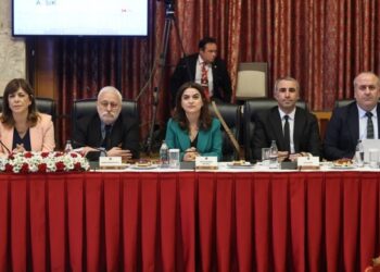 Partîyî do raporanê xo yê ‘çareserî’ pêşkêşê meclîsî bikerê