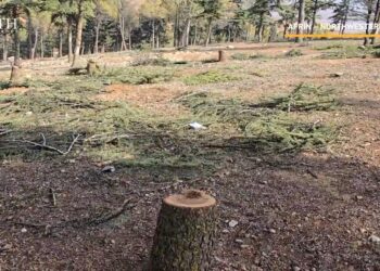 Li Efrînê talana çeteyên girêdayî Tirkiyeyê didome