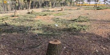 Li Efrînê talana çeteyên girêdayî Tirkiyeyê didome