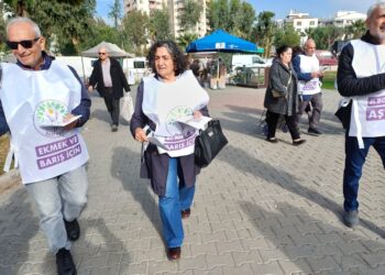 DEM Partî ra rayîrşîyayîşê ‘Butçeya Seba Nan û Aştî’