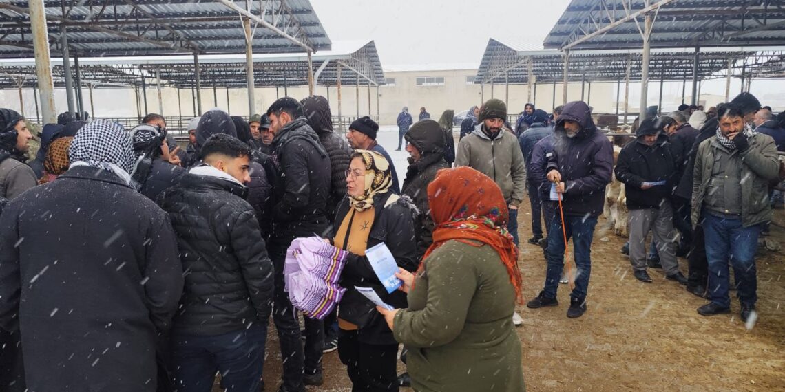 Di bin berfê de xebata mitînga ‘Hêvî û Azadiyê’ tê kirin