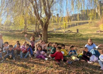 Domanê Zarokistanî Baxçeyê Hevselî de yê