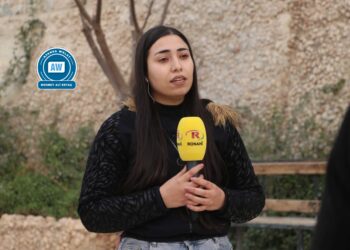 Rojnameger Ceklin Brîmo: Destê dewleta Tirk di êrîşan de heye