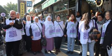 Baskê rayşîyayîşî yê Çukurovayî resa Tarsusî