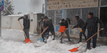 Şaredariya Kerboranê xebatên paqijkirina berfê didomîne