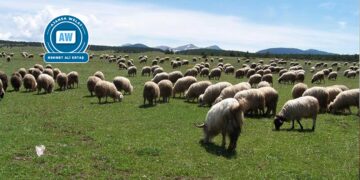 Li Bakurê Kurdistanê û Tirkiyeyê rewşa sewalkariyê!