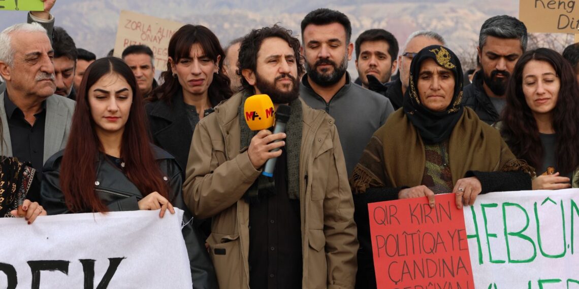 Li qontara Çiyayê Cûdiyê bi hezaran berû çandin